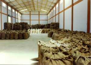 Export Coffee Warehouse